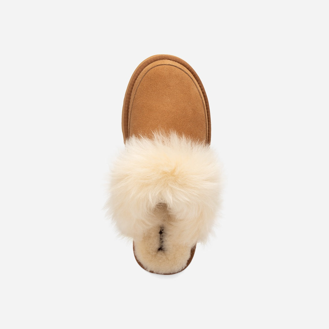 UGG DANIELA PREMIUM PLATFORM SLIPPER (ELASTIC LOGO & WOOL STRAP) OB 1059